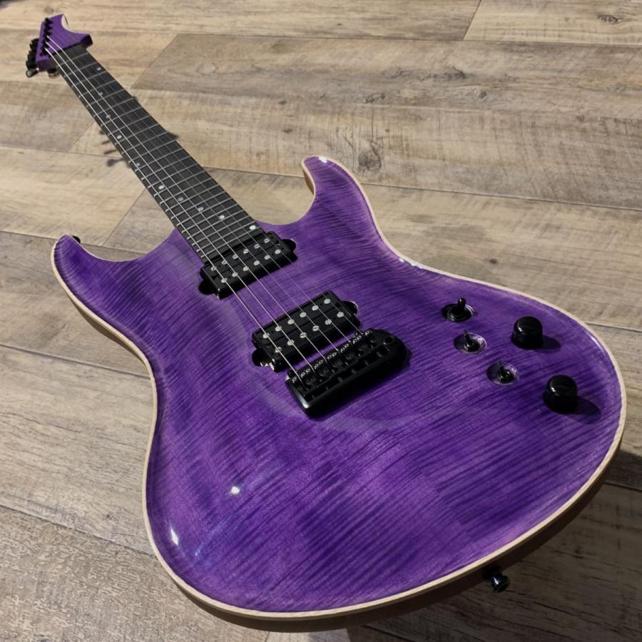 Valenti Guitars ヴァレンティギターズ Nebula Carved 6st / See