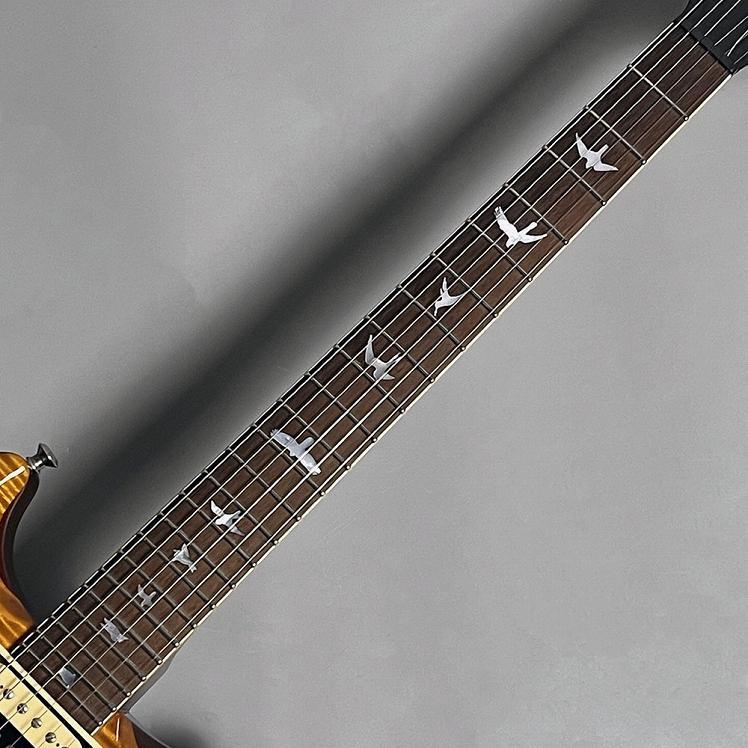 PRS ポールリードスミス(Paul Reed Smith) Private Stock Howard Leese Golden Eagle Limited 25番目 VY エレキギター 2009年製〔 中古 〕｜shimamura｜03