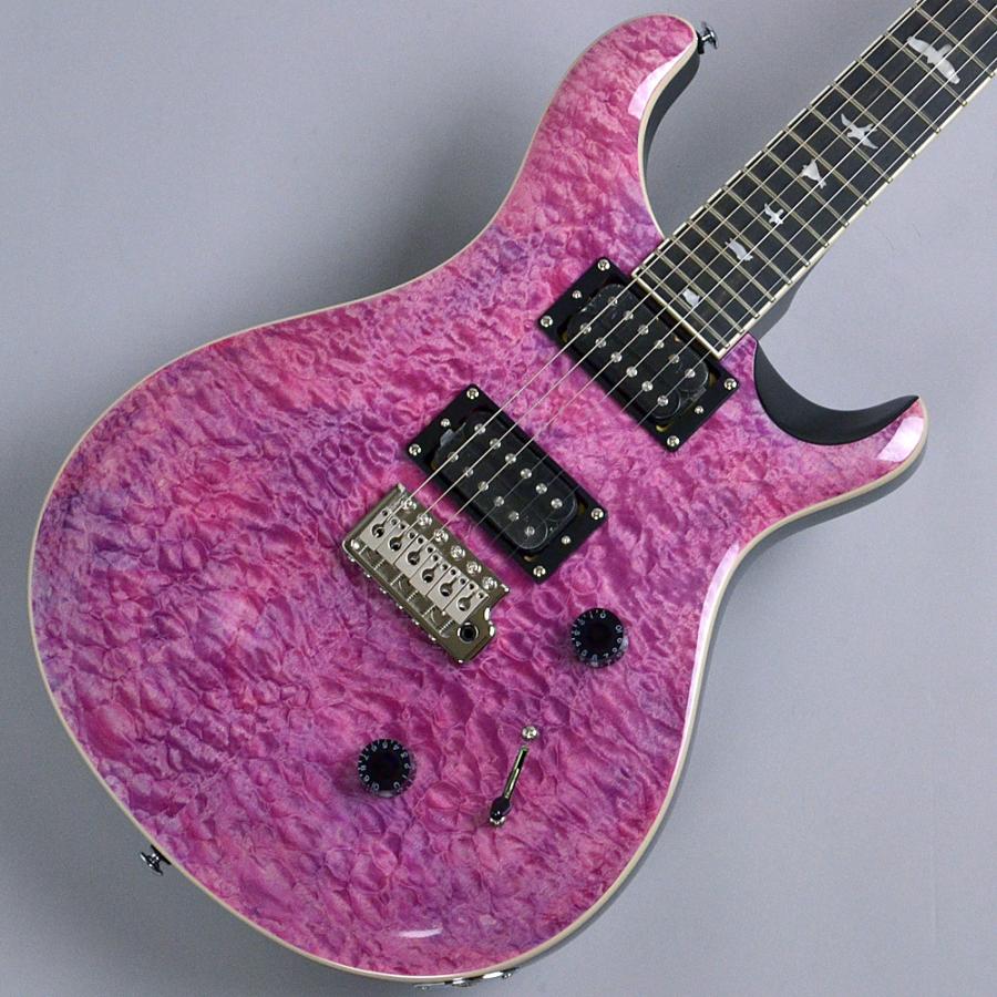 Paul Reed Smith PRS ポールリードスミス(Paul Smith) SE CUSTOM Paul Reed Smith PRS ポールリードスミス(Paul Smith) SE CUSTOM