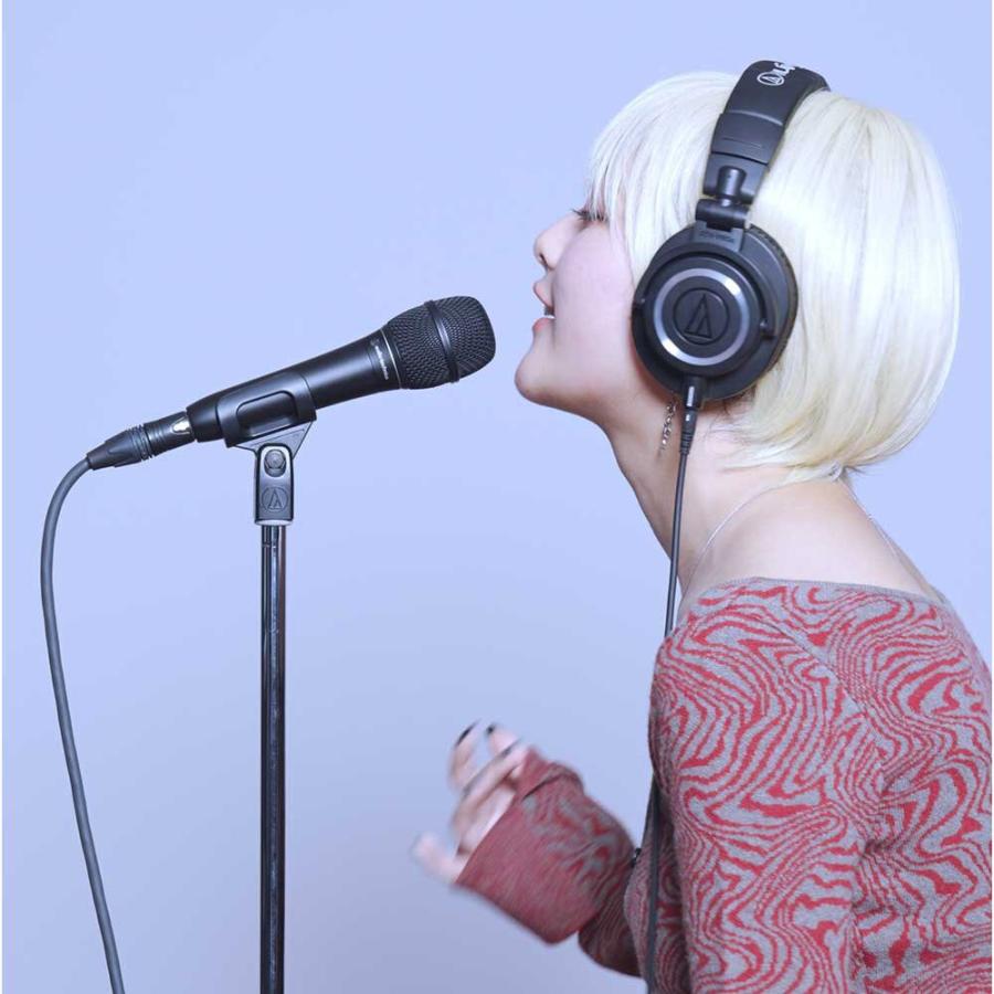 audio-technica オーディオテクニカ ATS99 ダイナミックマイクロホン 〔イオンモール幕張新都心店〕_3