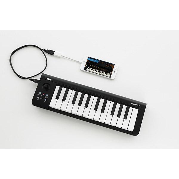 KORG（コルグ） microKEY2-25 MIDIキーボード 25鍵盤 microKEY-25