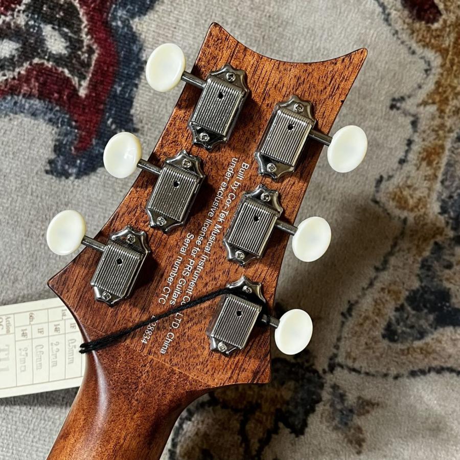 Paul Reed Smith（ポールリードスミス） PRS SE Parlor P20 w/Fishman