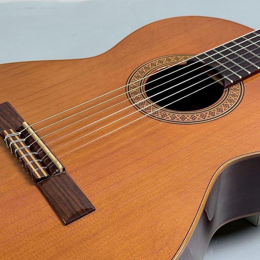 Raymond（レイモンド） RAIMUNDO 118C クラシックギター 〔ららぽーと