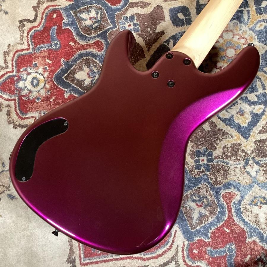 Freedom Custom Guitar Research フリーダム Blowzer 5st PP SCB Succubus 5弦エレキベース/PPレイアウト 〔新宿PePe店〕の画像
