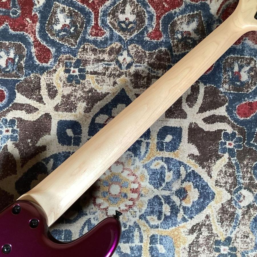 Freedom Custom Guitar Research フリーダム Blowzer 5st PP SCB Succubus 5弦エレキベース/PPレイアウト 〔新宿PePe店〕の画像