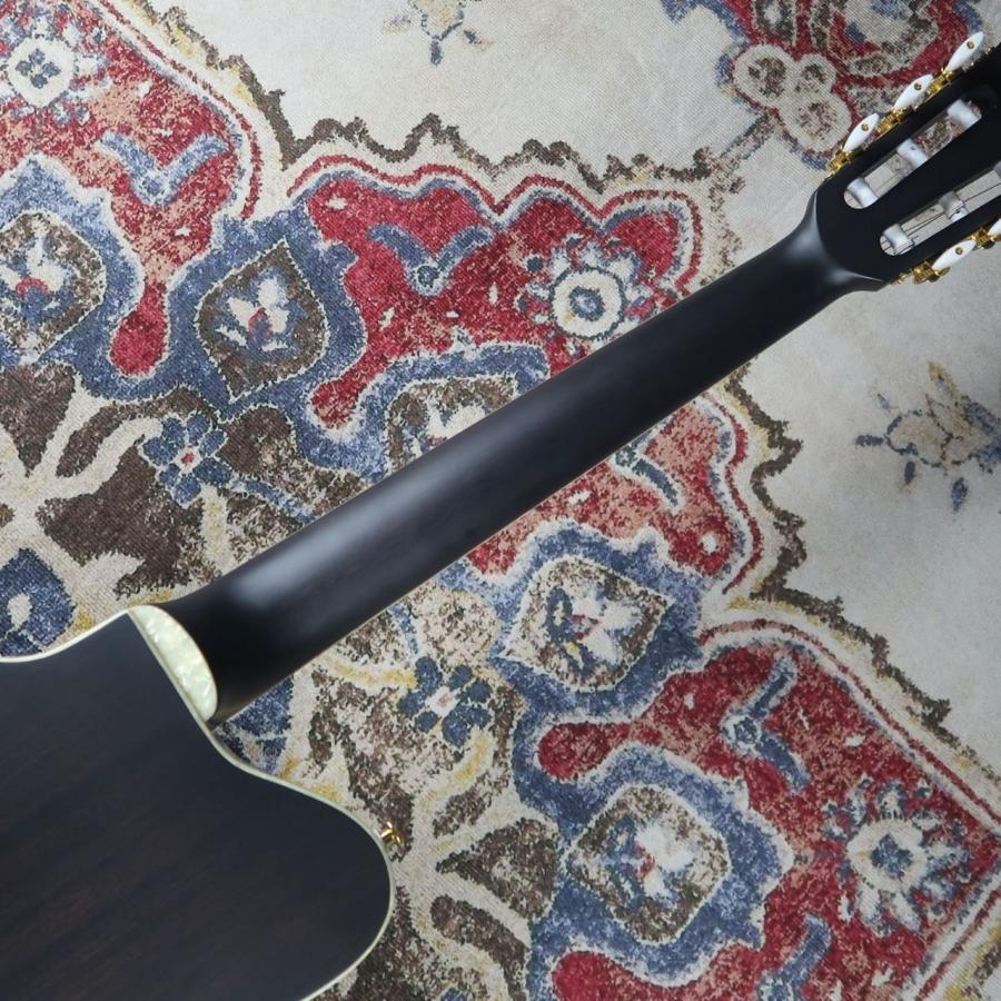 Ibanez（アイバニーズ） TOD10N TKF エレガット Tim Henson Signature