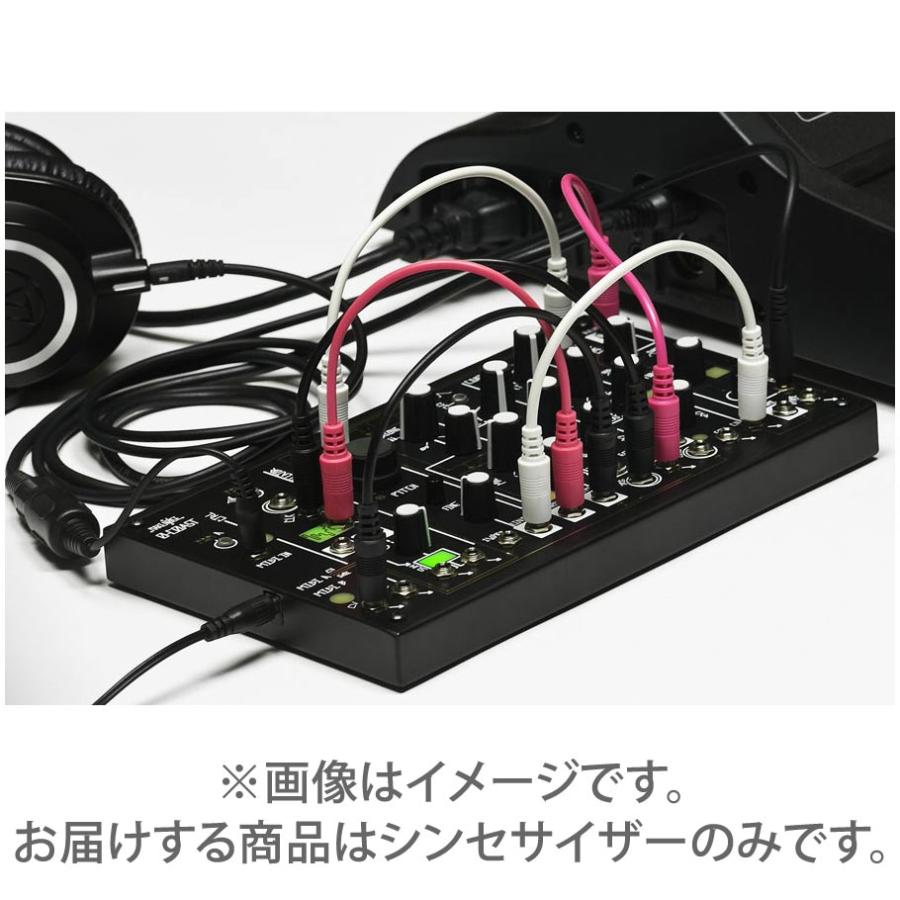 Make Noise | Morphagene メイクノイズ 【公式通販】