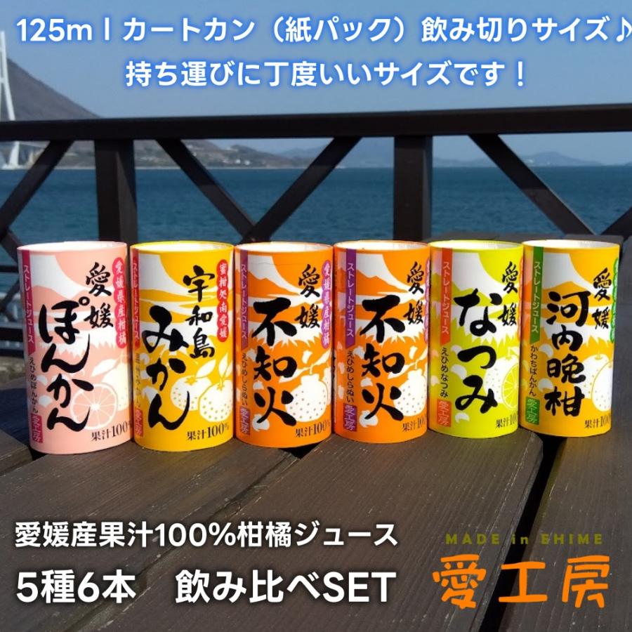 愛工房 不知火 宇和島みかん 河内晩柑 ぽんかん なつみ 温州みかん
