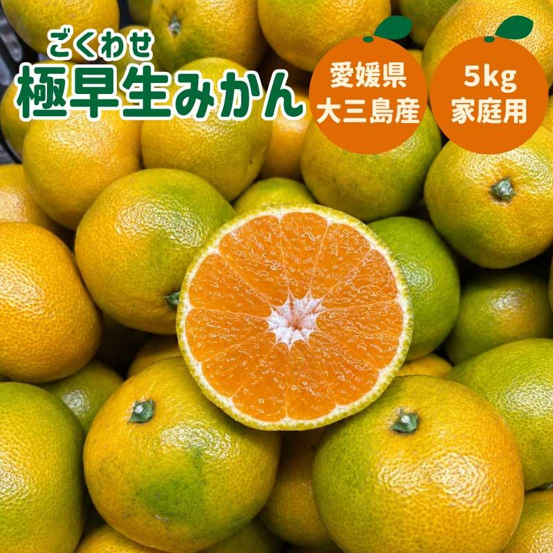 極早生みかん 愛媛 大三島産 家庭用 B品 不揃い 5キロ フルーツ