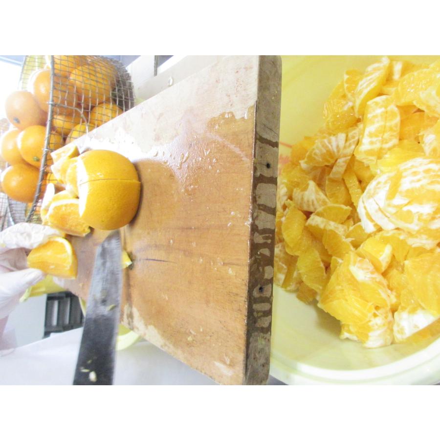 はっさくぷりん プリン 八朔 柑橘 万汐農園 農家スイーツ 広島県産