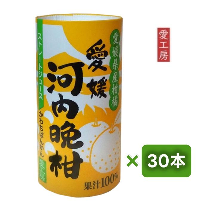 愛媛県産うわごーるど(河内晩柑)ジュース 720ml 12本セット 愛媛 河内晩柑 ストレートジュース 500ml 12本入り 無添加 果汁100