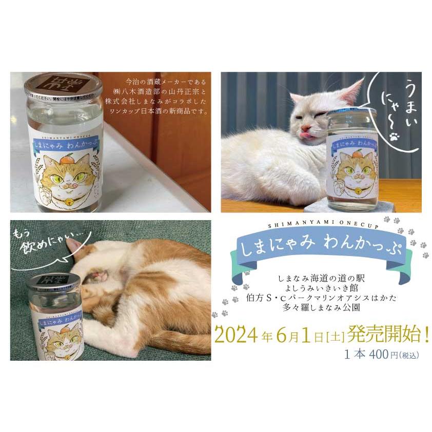 しまにゃみわんかっぷ しまなみ×山丹正宗 180ml ワンカップ酒 本醸造