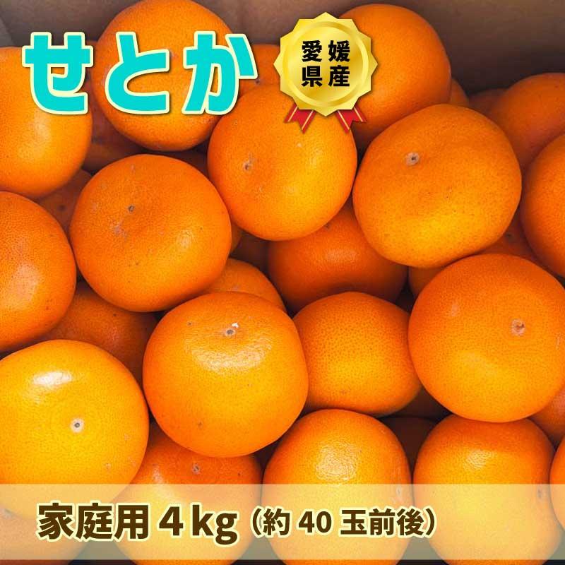 せとか 4kg 家庭用 愛媛県 大三島産 しまなみ海道 柑橘 フルーツ