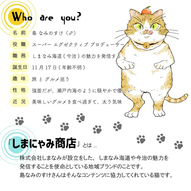 はな様ご確認用 古文書 書簡 徳川斉昭 水野越前守 土井大炊守 掘田備中守 真田