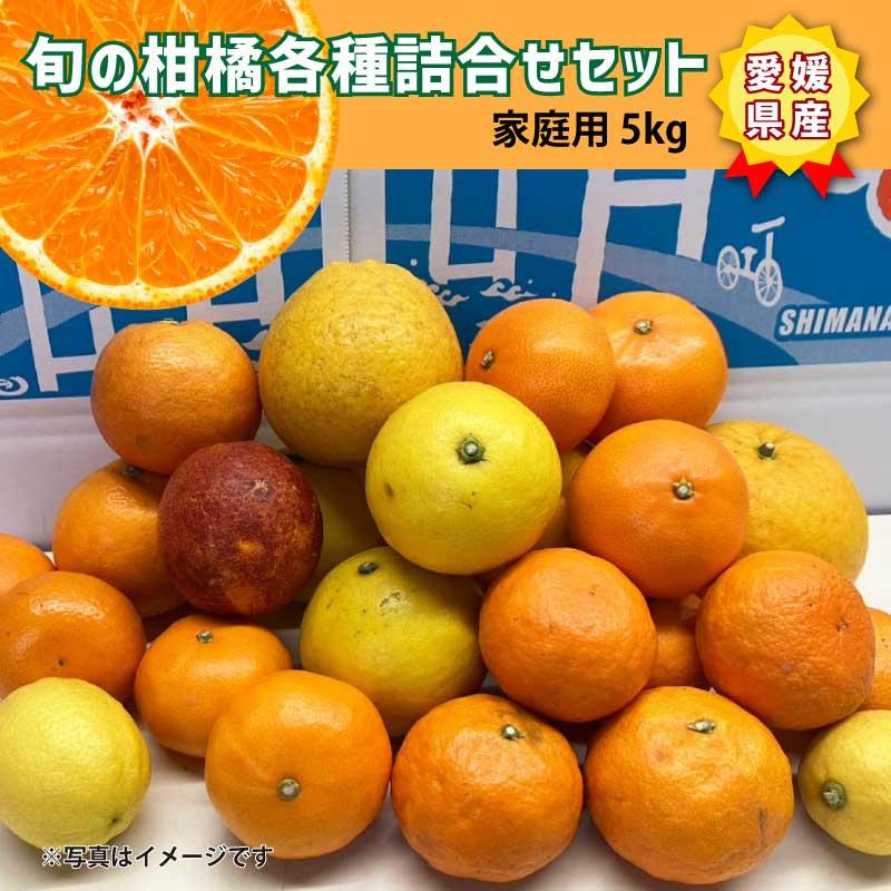旬の柑橘各種詰め合わせセット みかん 5kg 食べ比べ 大三島 愛媛