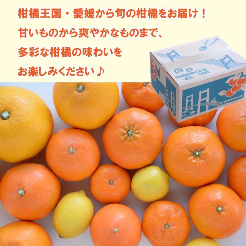 旬の柑橘各種詰め合わせセット みかん 5kg 食べ比べ 大三島 愛媛