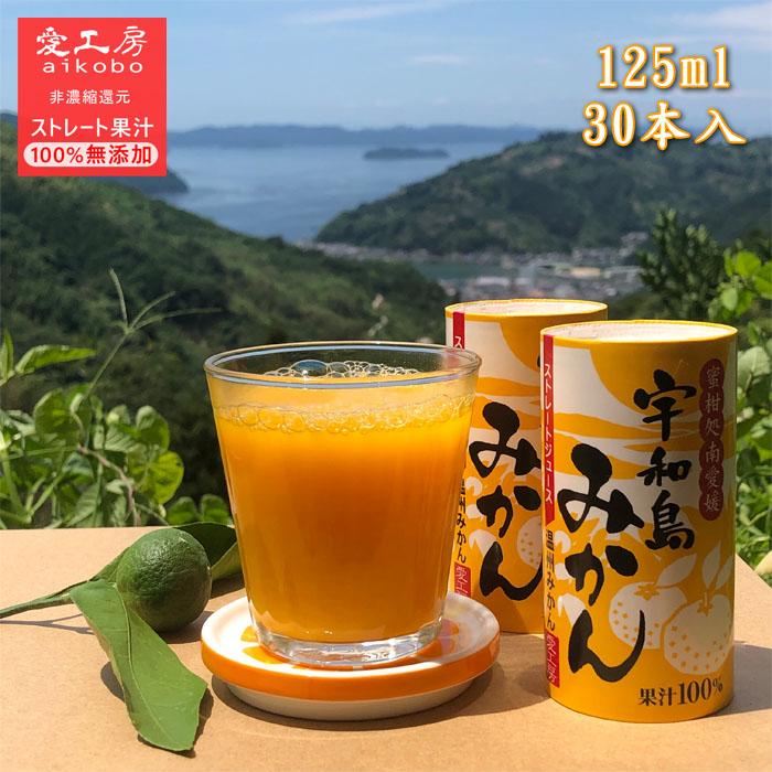【むつみ】みかんジュース1000ｍｌ×12本 　【２箱縛りでの発送】 お中元 2025 御中元 夏ギフト フルーツ ギフト スイーツ 内祝い