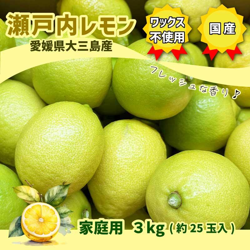 瀬戸内レモン 家庭用 3キロ イエローレモン 愛媛県 大三島産 柑橘