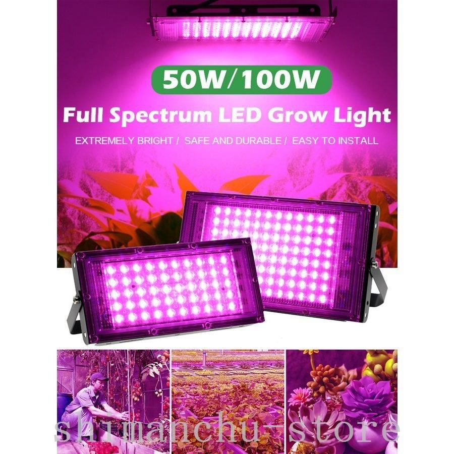 LED植物育成ライト50W50ledチップ植物ライト植物育成用室内植物成長ライト屋内栽培ライト日照不足解消使用範囲は2m2低消耗省エネ50W  :chu261293868:SHIMANCHU STORE - 通販 - Yahoo!ショッピング