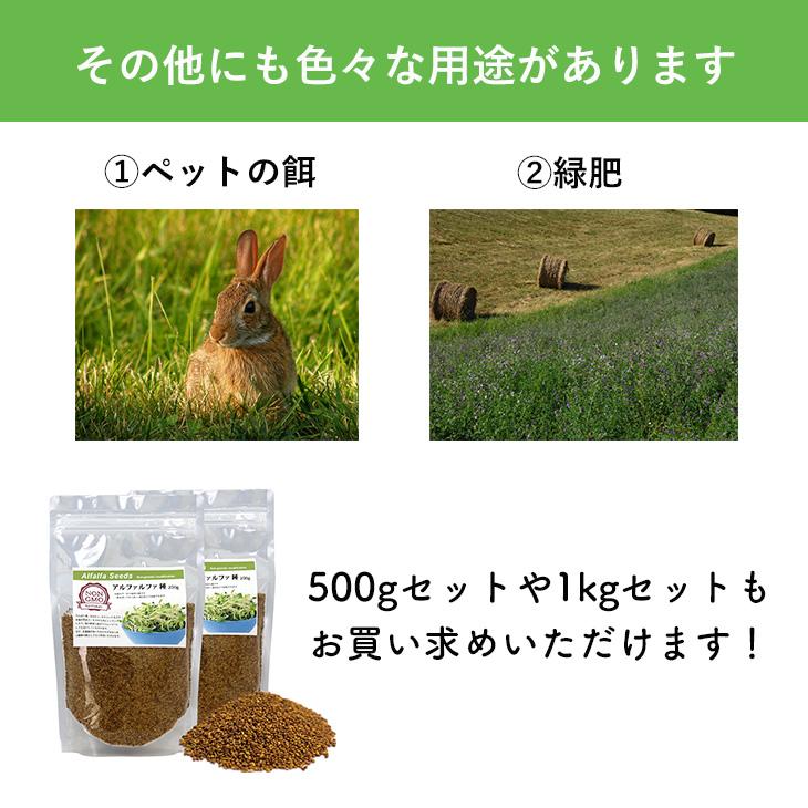 アルファルファ 種 250g 高品質 オーストラリア産 Alfalfa 野菜種 あるふぁるふぁ Seed スプラウト シード 栽培 野菜 送料無料 Alfalfa250g 株式会社嶋ノ屋 通販 Yahoo ショッピング