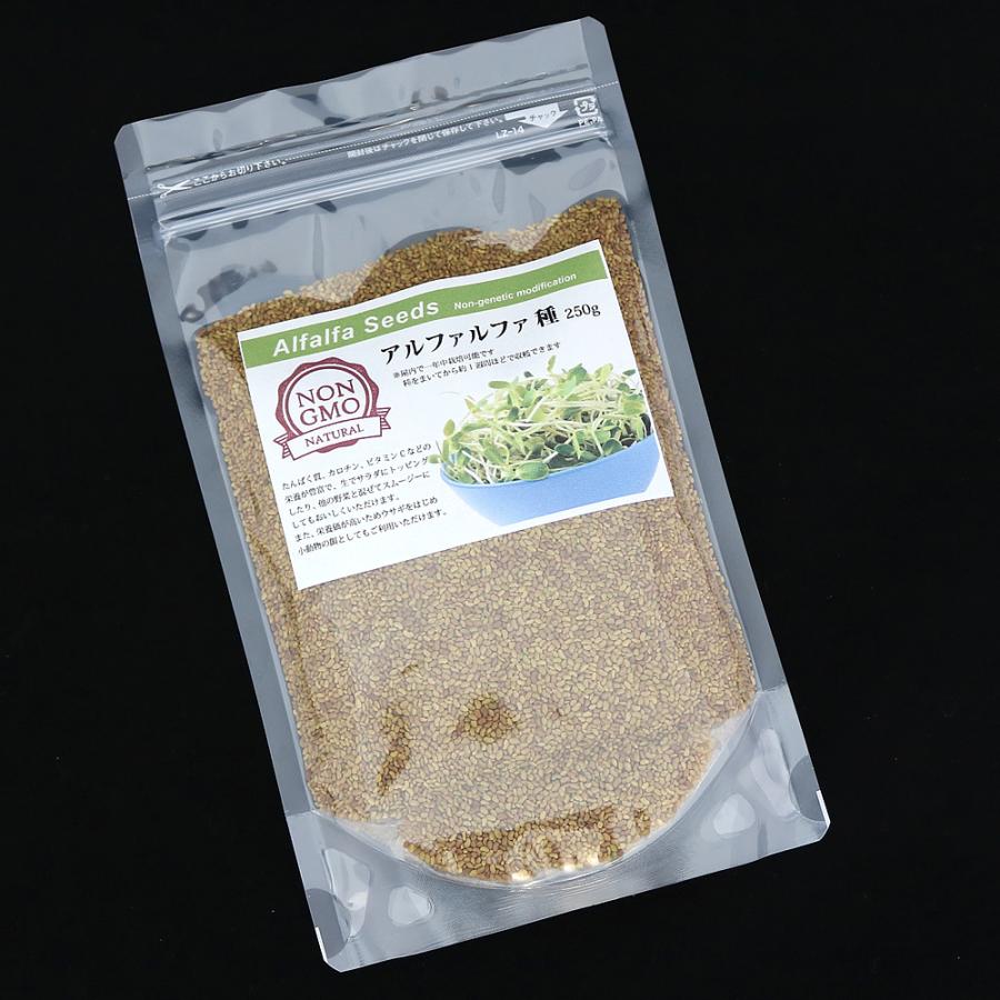 アルファルファ 種 250g スーパーフード 高品質 オーストラリア産 Alfalfa 野菜種 あるふぁるふぁ Seed スプラウト シード 栽培 野菜 送料無料 Alfalfa250g 嶋ノ屋 通販 Yahoo ショッピング