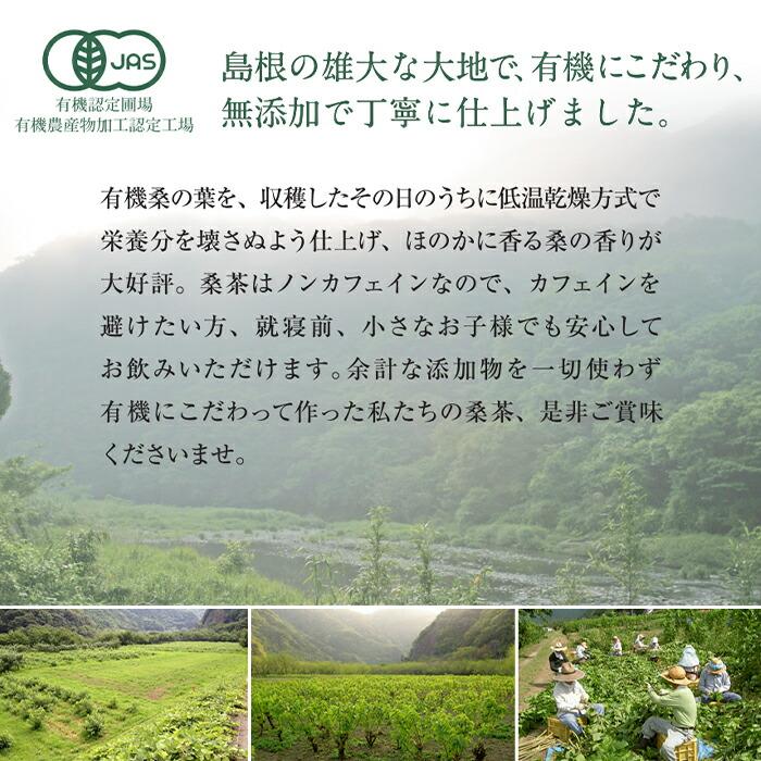 桑の葉茶 ( 急須用 100g )   有機桑茶  ノンカフェイン  DNJ  Q3MG お茶 の効能 桑の葉のお茶 桑の葉の効用 パック お買い得 父の日｜shimanoya｜04