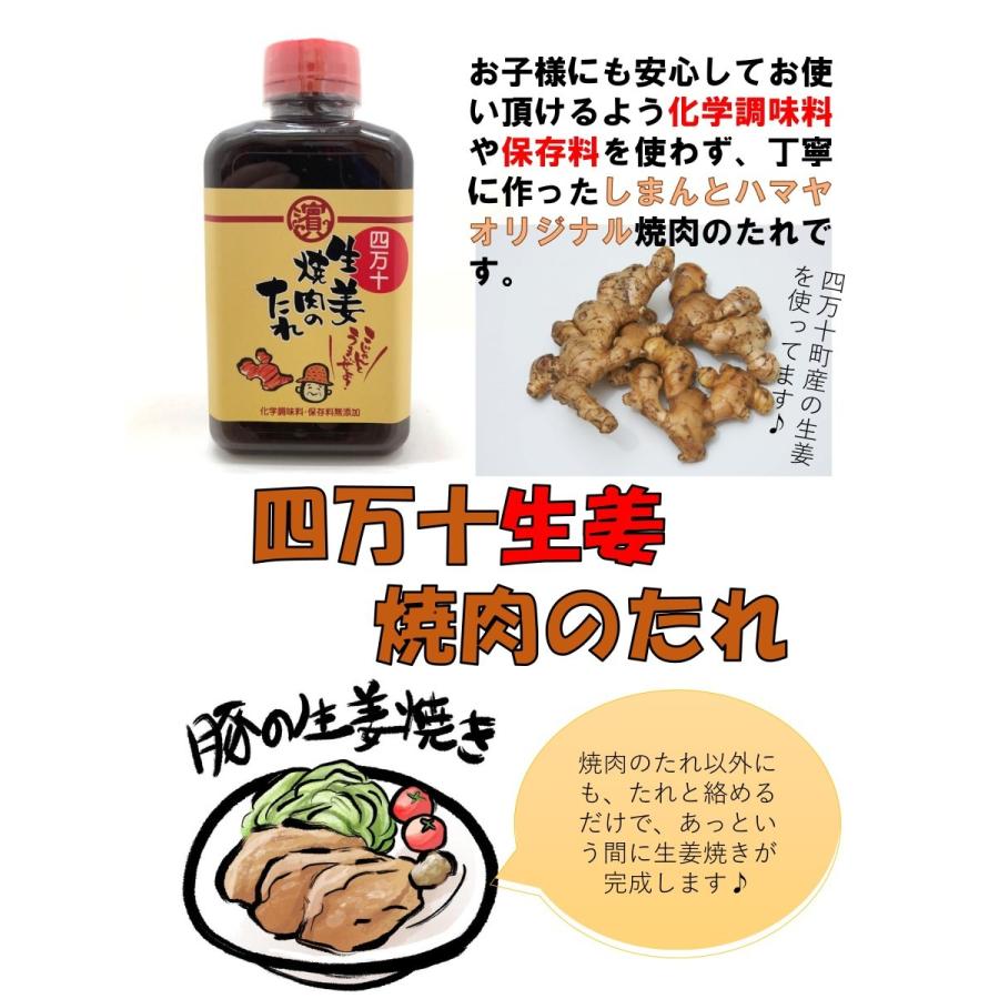 焼肉のたれ 四万十焼肉のたれ 玉ねぎ4ｇ 生姜 4ｇ各1本 送料込 02 04 しまんとハマヤ 通販 Yahoo ショッピング