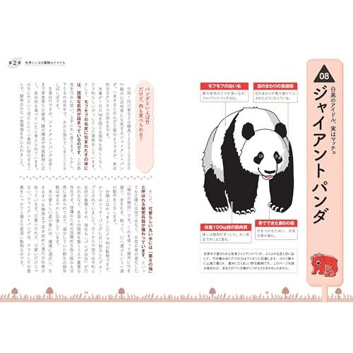 ぽんクマページ 新品 日本文芸社」眠れなくなるほど面白い 図解 クマの話: 全世界で8