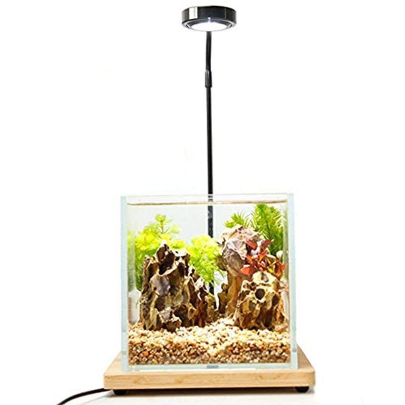 正規店仕入れの 水槽照明 アクアリウムライト Led 水槽ライト 7w 竹製 水槽 ベース 25cm 小型 金魚 水草 植物育成 熱帯魚 角度調節可能 100 の保証 Www Aqtsolutions Com