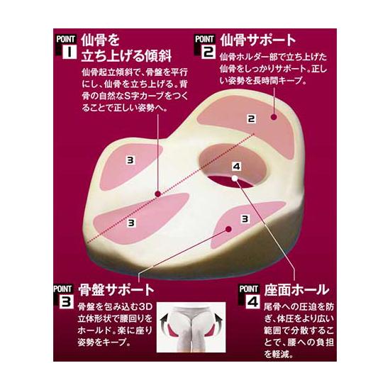 仙骨クッション仙律 / AP-621607 ルビー（アルファックス） : 介護用品