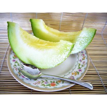 楽天市場 ギフト 贈答 静岡産 温室マスクメロン アローマ印 2個入 送料無料 山級 計約3 0kg前後 最適な材料 Www Fedelatina Org