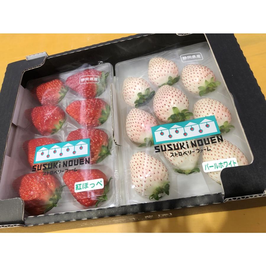 大粒紅白いちごセット 送料無料 パールホワイト 紅ほっぺ ギフト 静岡