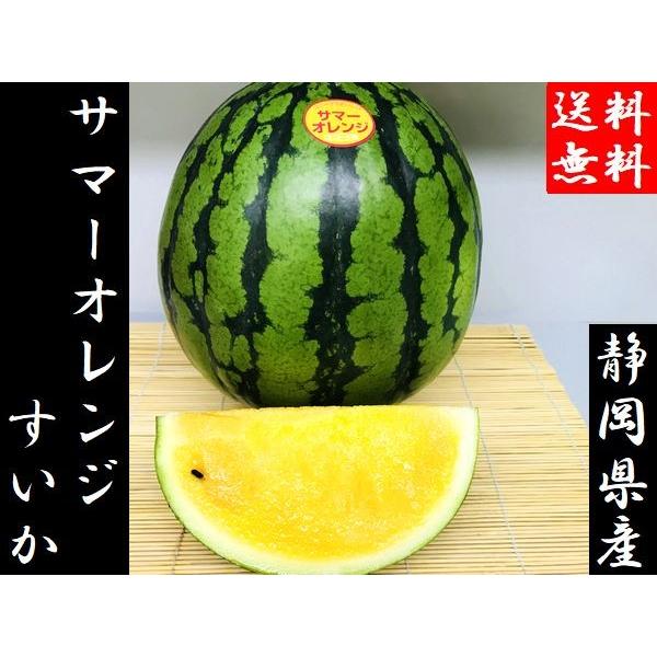 予約販売 送料無料 サマーオレンジスイカ　2玉入り 静岡県産 3.8kg〜4.8kg×2｜shimazaki-nouen