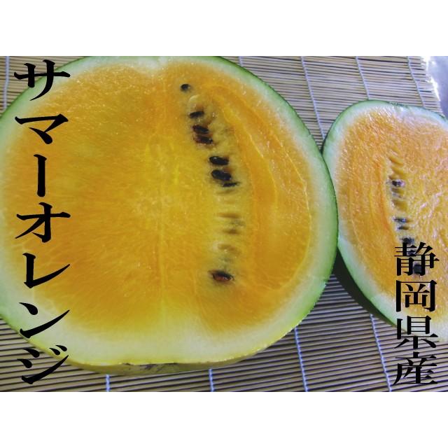 予約販売 送料無料 サマーオレンジスイカ　2玉入り 静岡県産 3.8kg〜4.8kg×2｜shimazaki-nouen｜02
