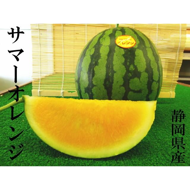 予約販売 送料無料 サマーオレンジスイカ　2玉入り 静岡県産 3.8kg〜4.8kg×2｜shimazaki-nouen｜03