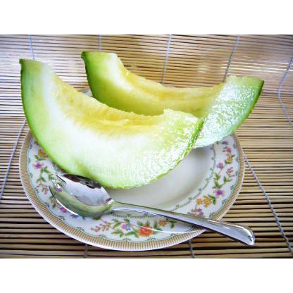 訳あり 送料無料 静岡産 温室マスクメロン アローマ印 2玉入 約1.3kg×2