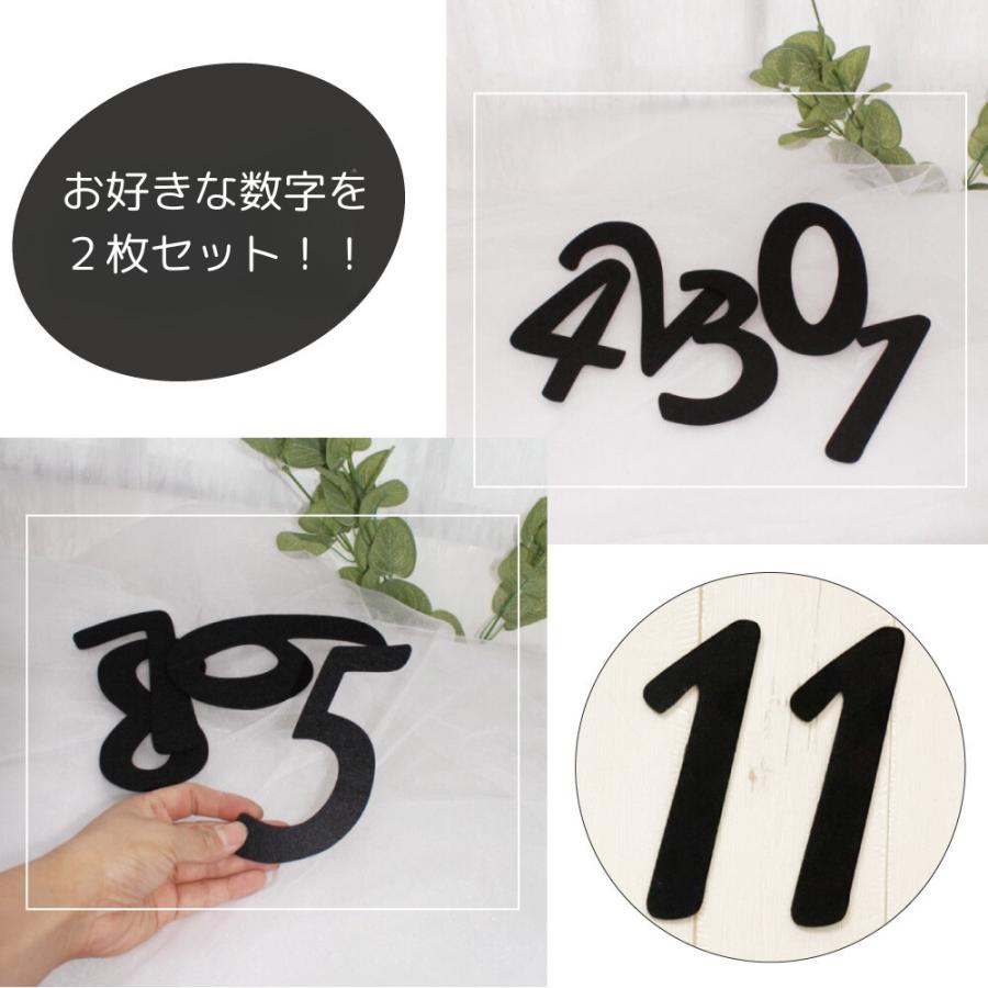 アルバム飾り　数字　オーダー受付中　（＾∇＾） フェルト レターバナー「 お好きな数字2個セット」 お好きな数字