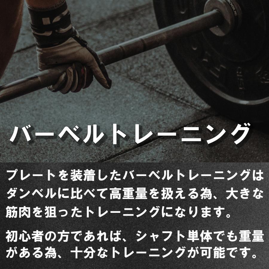 バーベル シャフト ストレート バー Designed in Japan 独自開発の
