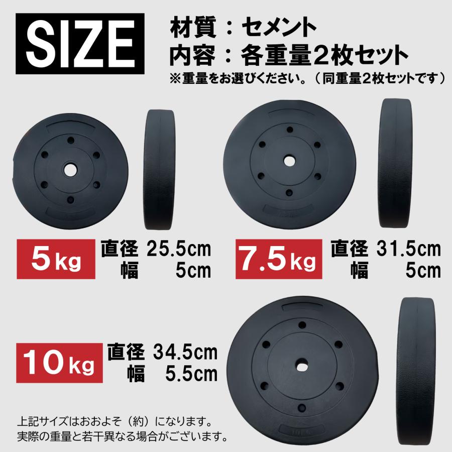 プレート バーベル 10kg×2枚 Wout ホームジム トレーニング プレート バーベル 10kg×2枚 Wout ホームジム トレーニング