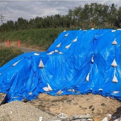 萩原工業 エコフレンドシート＃３０００　５．４ｍＸ５．４ｍ ＴＥＦ１８１８ | 