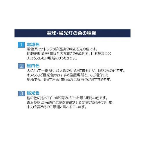 Panasonic ツイン1蛍光灯 36形 昼白色 FPL36EXNJF3 : ジムエールYahoo