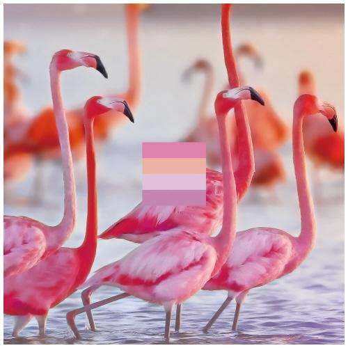 スリーエム ジャパン ポストイットふせん マルチカラー強粘着 ７５ ５０ｍｍ ４色フラミンゴ ６５６ｓｓ ｍｃ ７ シミズ事務機yahoo 店 通販 Yahoo ショッピング