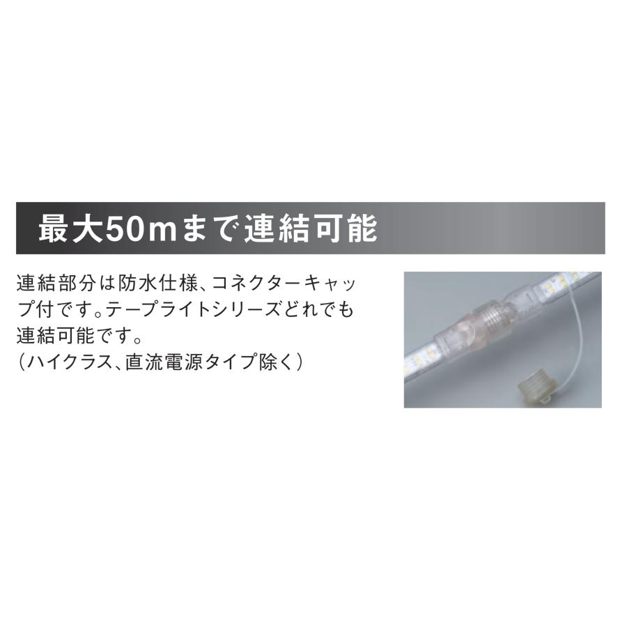 HATAYA（ハタヤ） LEDテープライト 片面発光 LTP-20S 発光色/白 発光面
