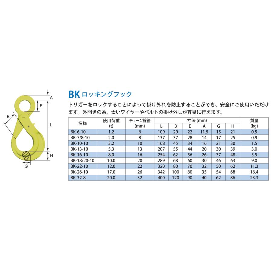 マーテック マーテック(株) チェーンスリング 2本吊りセット TA2-BK 10