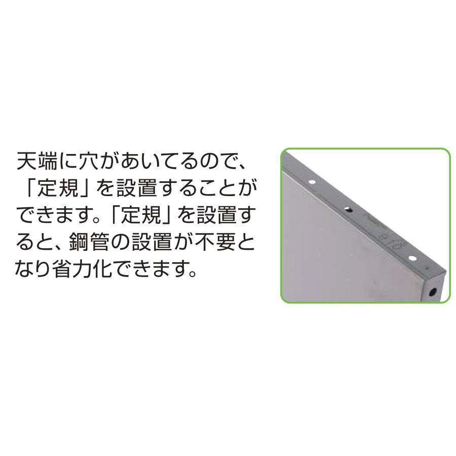 NSP 鋼製型枠 型枠幅45mm用 1820パネル(天端穴) F2-30 300H 長さ1820
