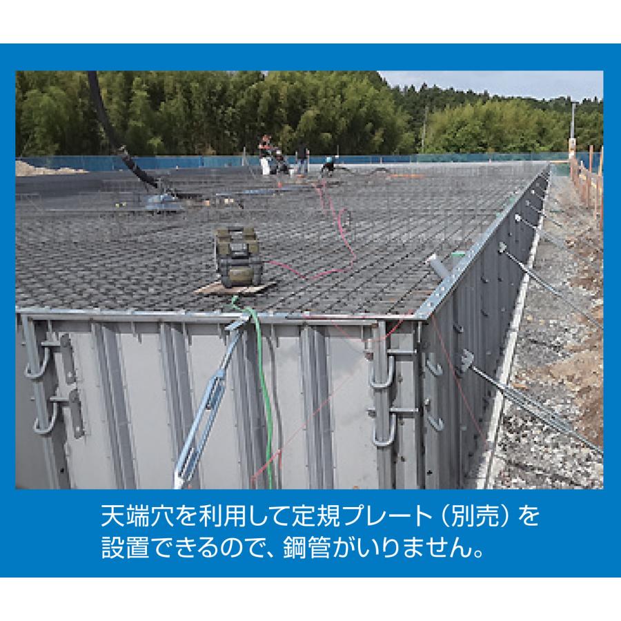 NSP 鋼製型枠 型枠幅45mm用 455パネル(天端穴) F2-60 600H 長さ NSP 鋼製型枠 型枠幅45mm用 455パネル(天端穴) F2-60 600H 長さ