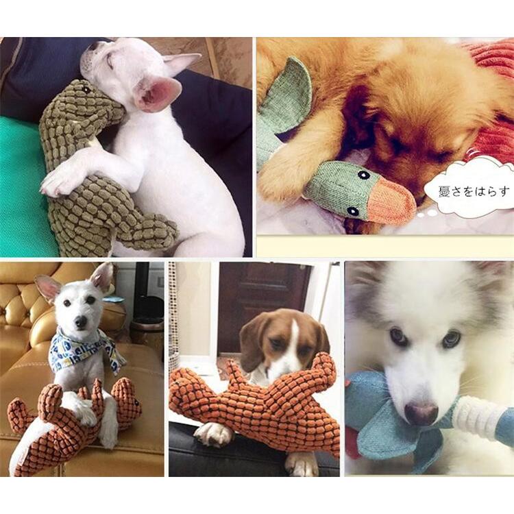 ペット おもちゃ 犬用 噛むおもちゃ 犬用おもちゃ 歯ぎ清潔 丈夫 発声装置搭載 大きいサイズ 犬玩具 ストレス解消 運動不足 19cwwj08 Uhd 通販 Yahoo ショッピング