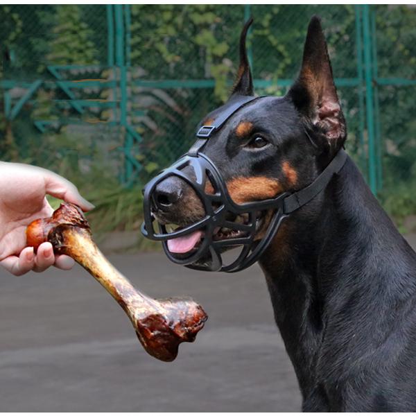 犬 吠え防止 噛みつき防止 口輪 無駄吠え 拾い食い 新作 中空 口 しつけ用 大中型犬用 ペット用品 犬用品 19gzt03 Uhd 通販 Yahoo ショッピング