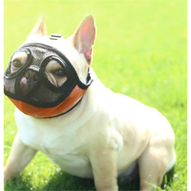 犬 吠え防止 噛みつき防止 闘牛犬 ブルドッグ 口輪 無駄吠え 拾い食い 新作 超軽量 口 しつけ用 大中型犬用 ペット用品 犬用品 19gzt13 Uhd 通販 Yahoo ショッピング