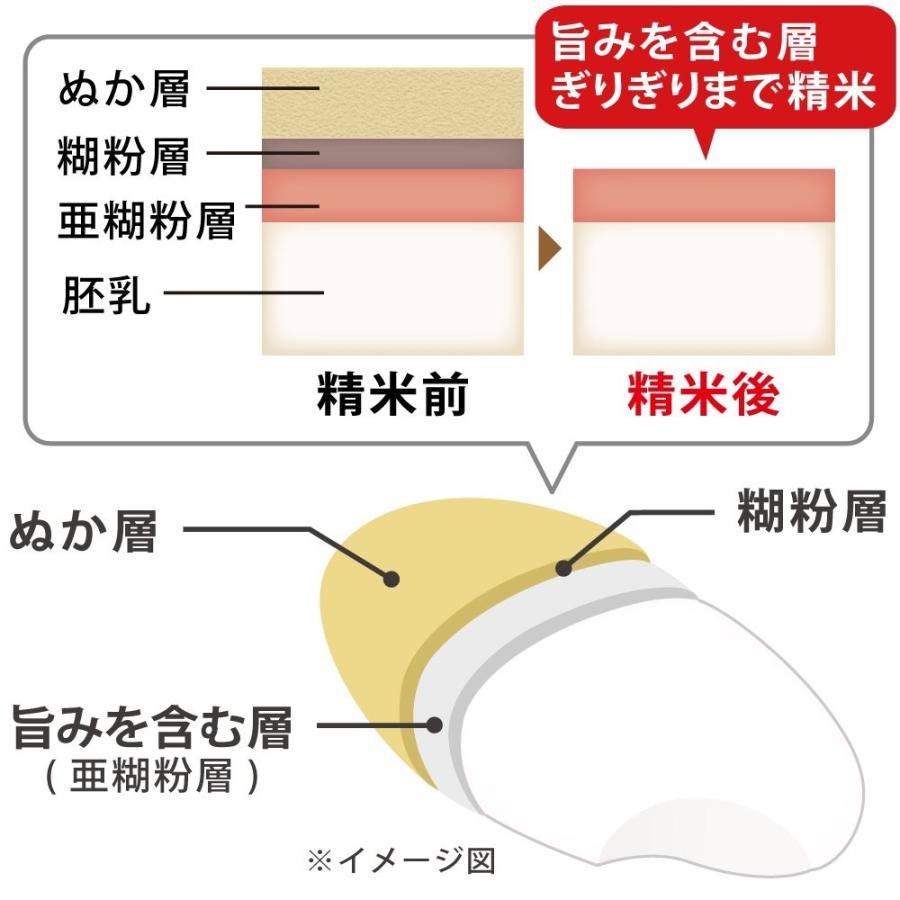 人気絶頂 アイリスオーヤマ 精米機 銘柄純白づき Rci A5 B 工場直送 Www Gettoknowmontco Com
